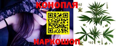 крисы Партизанск